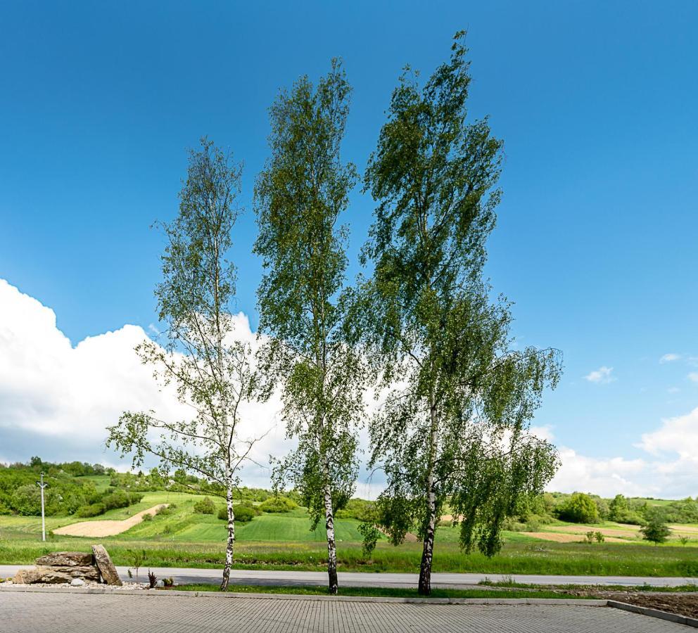Agrohotel Tri Brezy Hrustin Экстерьер фото